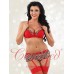 Red and Leopard Bra and Brief Set