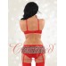 Red and Leopard Bra and Brief Set