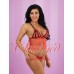 Sexy Red Sheer Mesh Babydoll & G_String Set