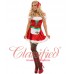 Ladies Sexy Happy Holidays Christmas Costume