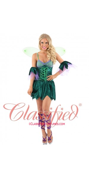 Forest Fairy Costume