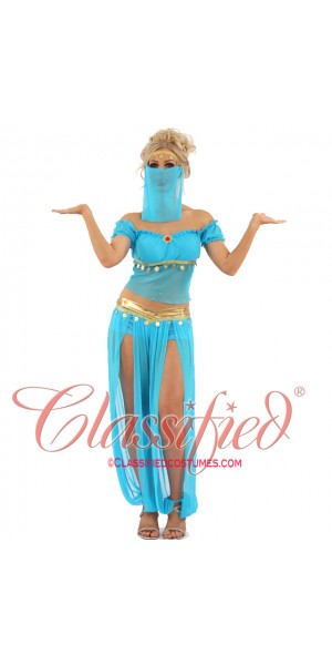 Ladies Sexy Genie Arabian Dancer Costume